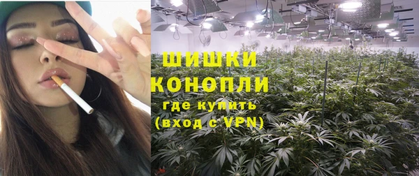 шишки Алзамай