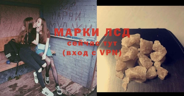 шишки Алзамай