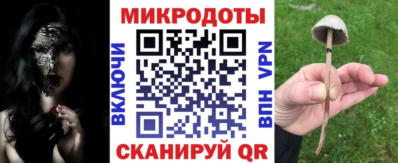 Псилоцибиновые грибы GOLDEN TEACHER  Апшеронск 